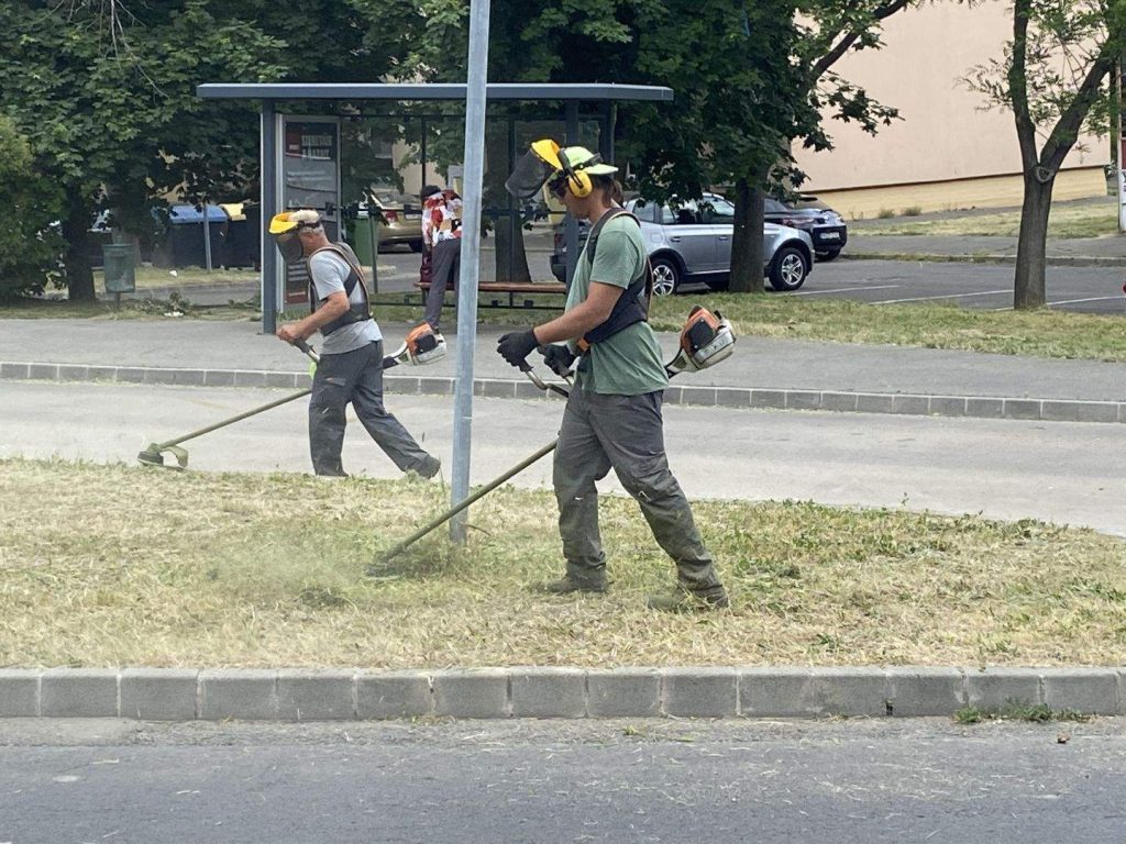 Már önkormányzati cég feladata a zöldfelületek karbantartása Szekszárdon