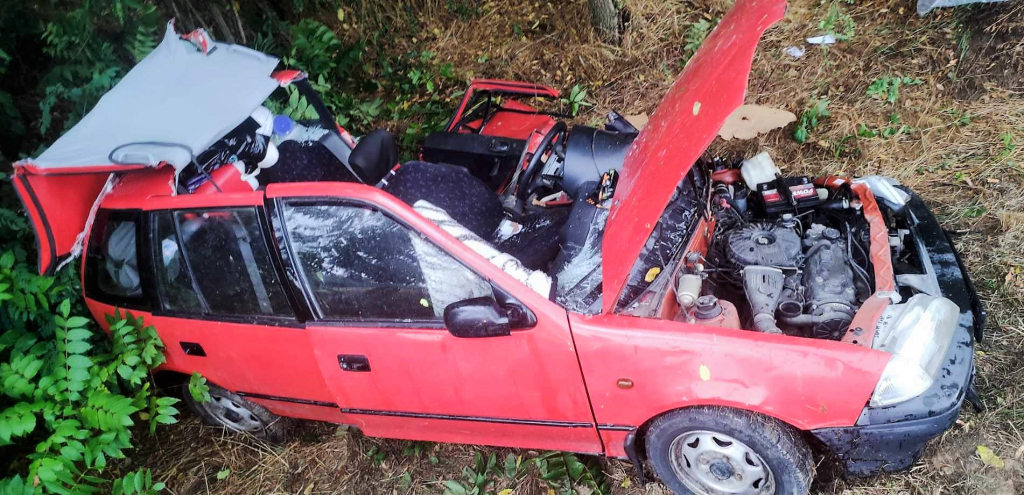 Katasztrófavédelem: 14 műszaki mentés egyetlen hétvégén Tolnában