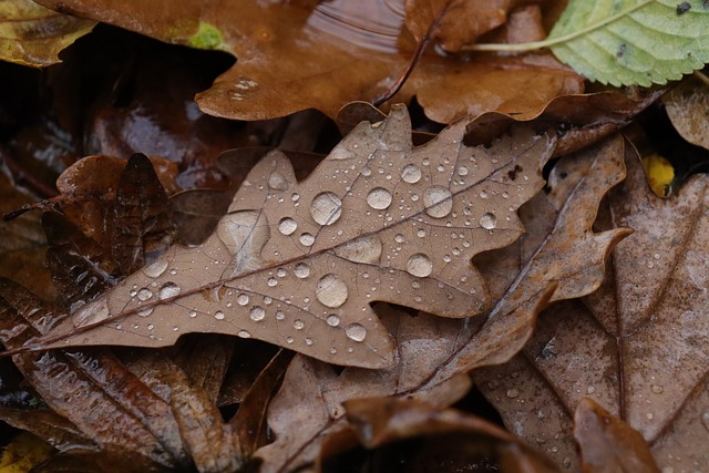 10 Celsius-fokkal esik vissza a hőmérséklet vasárnapra