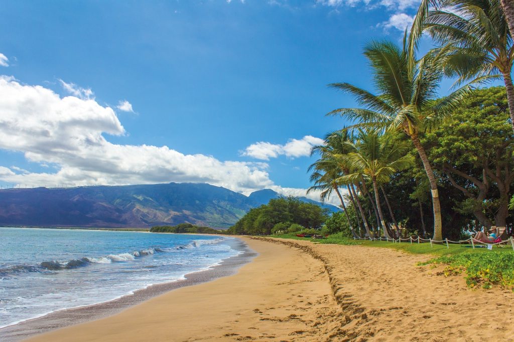 Egy csipetnyi Hawaii érkezik ma Szekszárdra