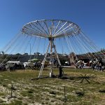 IMG_7931