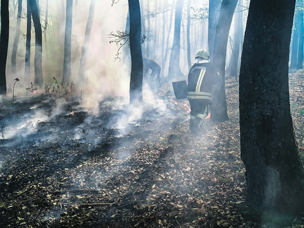 Lélegzetelállító fotókon a tűz pusztítása