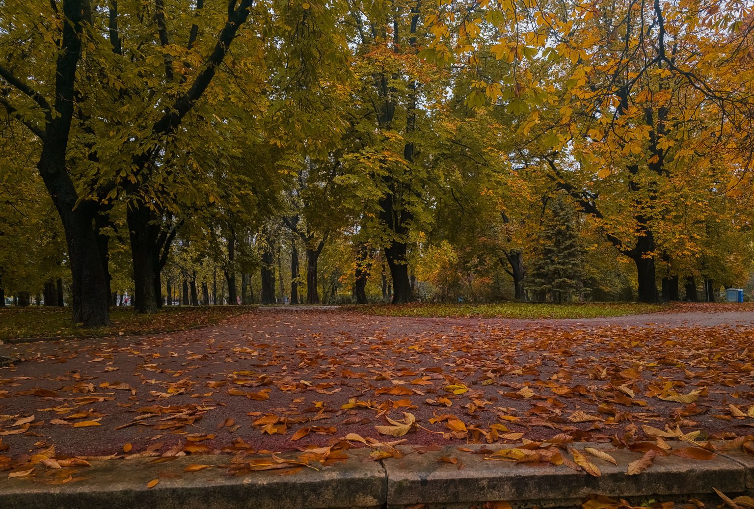 Hűvösebb, őszi idő lesz a héten